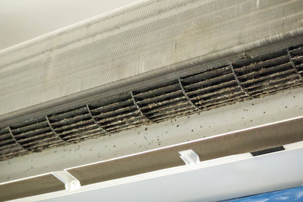 Best Ventilation Cleaning Services  in Lincoln, MT